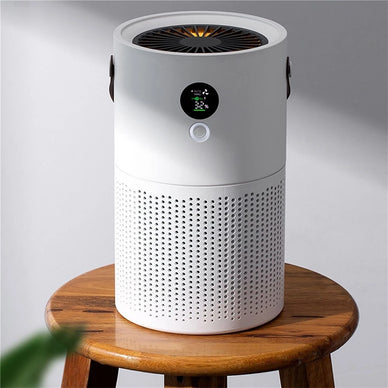 Breathe Easy: Transform Your Home's Atmosphere